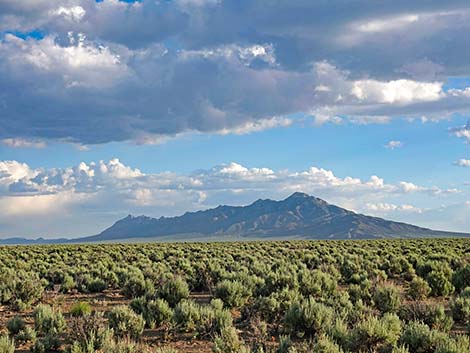 Basin and Range National Monument