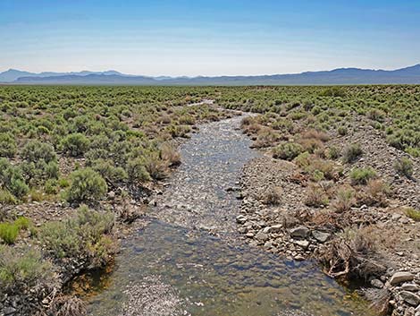 Basin and Range National Monument