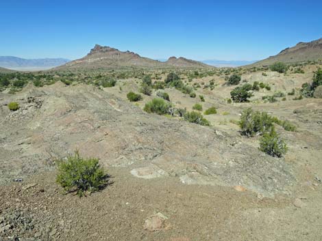 Basin and Range National Monument