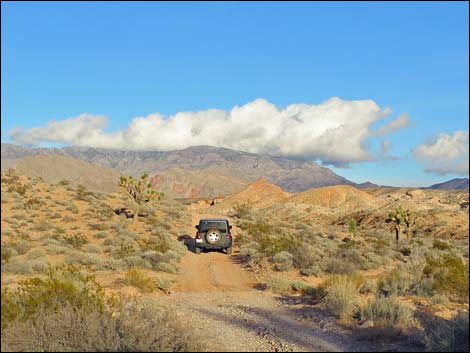 Gold Butte