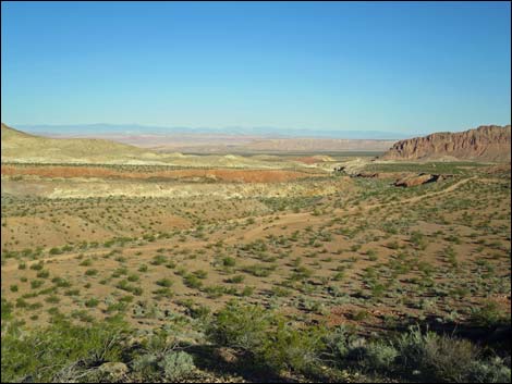 Gold Butte