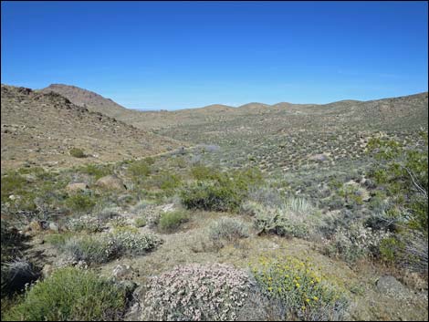 Gold Butte