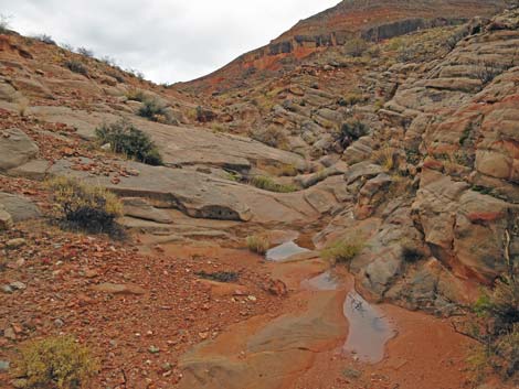 Gold Butte National Monument