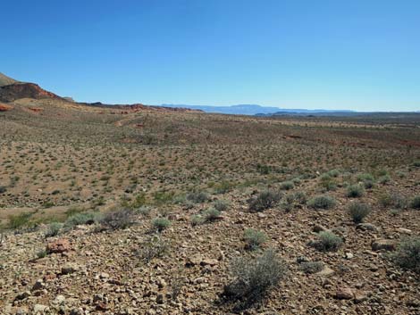 Gold Butte National Monument