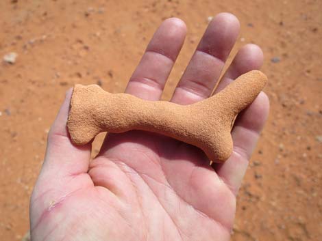 Gold Butte National Monument