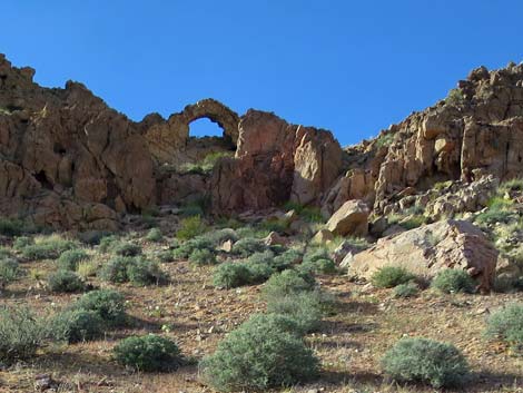 Gold Butte National Monument