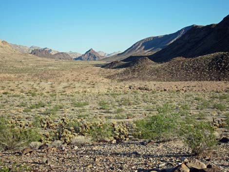 Lake Mead National Recreation Area