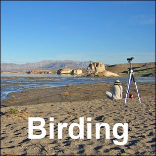 Lake Mead National Recreation Area