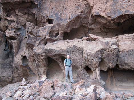 Mojave National Preserve