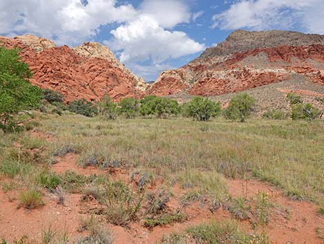 Red Rock Canyon National Conservation Area