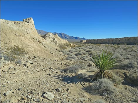 Tule Springs National Monument