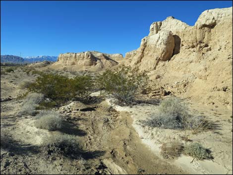 Tule Springs National Monument