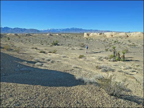 Tule Springs National Monument