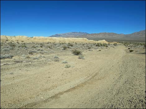 Tule Springs National Monument