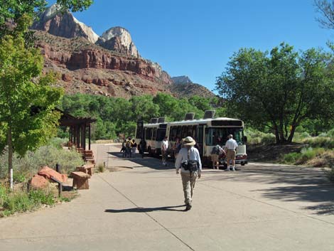 Zion Shuttlebus