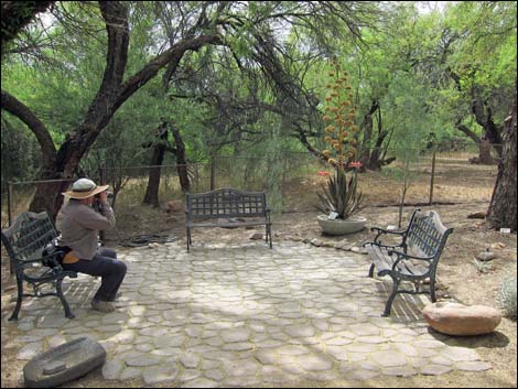 Hassayampa River Preserve