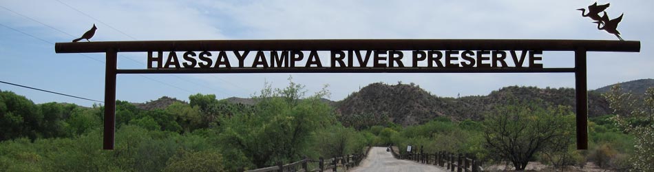 Hassayampa River Preserve