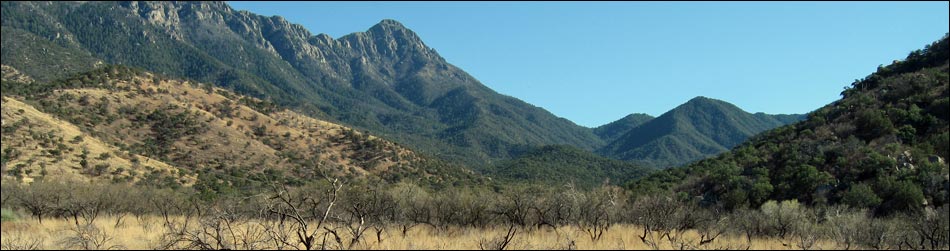 Madera Canyon, Santa Rita Mountains, Arizona