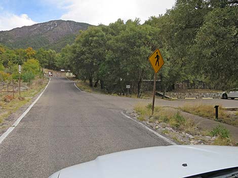 Madera Canyon