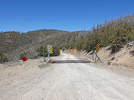 Pinery Canyon Road