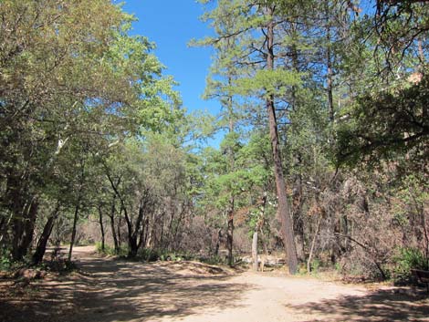 South Fork Road