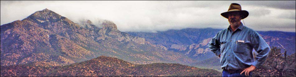 Chiricahua Mountains