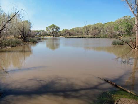 San Pedro Riparian NCA