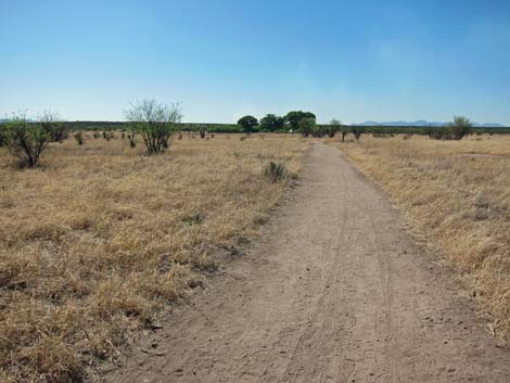 San Pedro Riparian NCA