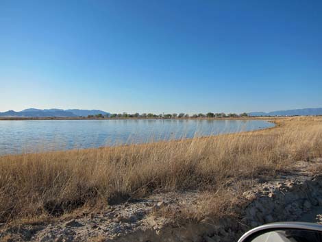 Wilcox Playa, Arizona