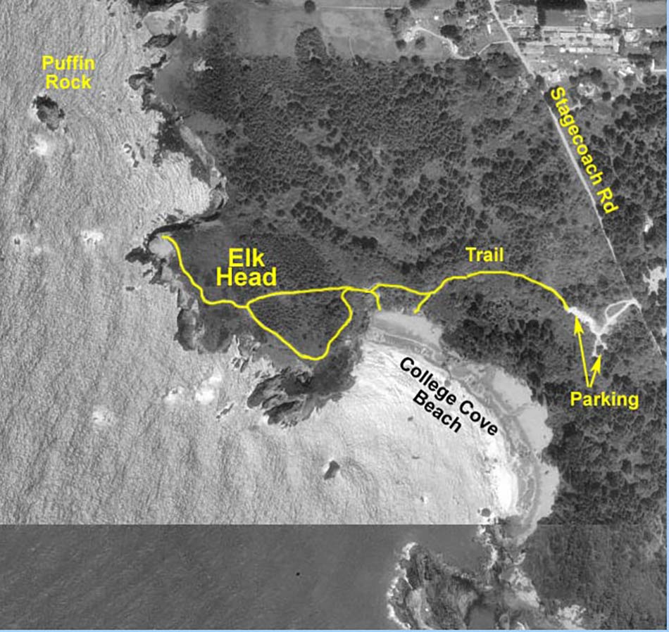 Elk Head Aerial Map