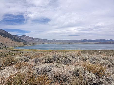 Mono Basin Visitor Center