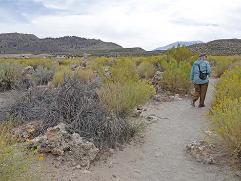 South Tufa Towers Trail