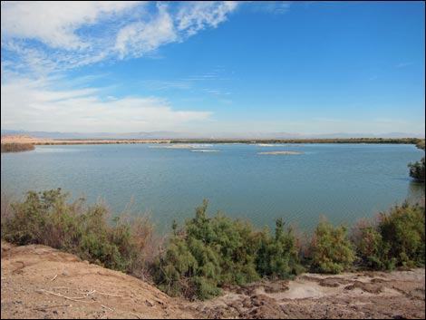 Salton Sea