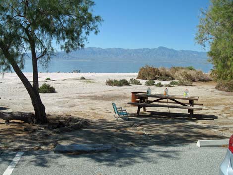 Birding the Salton Sea