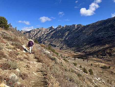 Lamoille Canyon