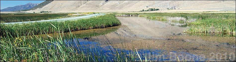 Ruby Marsh National Wildlife Refuge