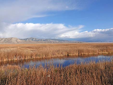 Ruby Marsh National Wildlife Refuge