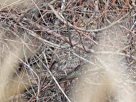 Malheur National Wildlife Refuge