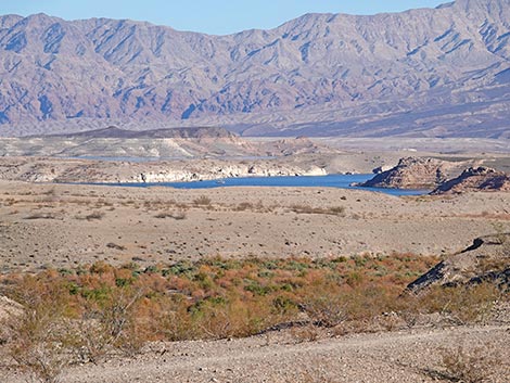 Las Vegas Bay Campground