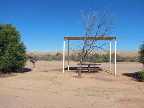 Overton Wildlife Management Area