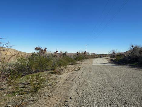 Virgin River Birding