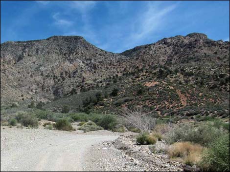 Whitney Pass Road