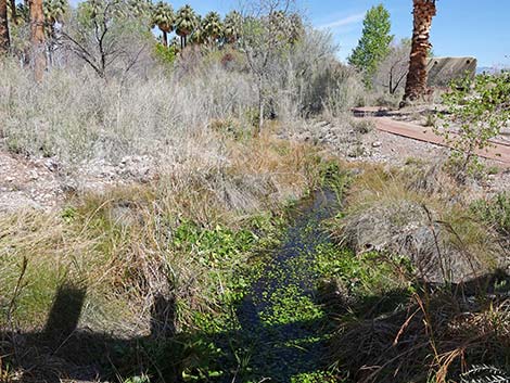 Moapa Valley National Wildlife Refuge