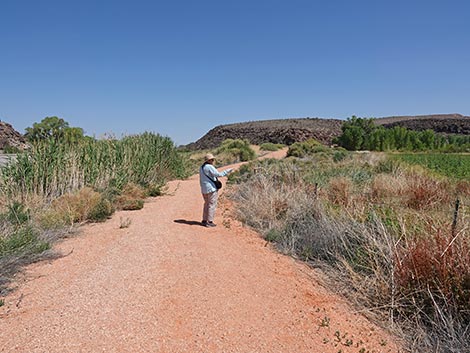 Black Canyon Trail