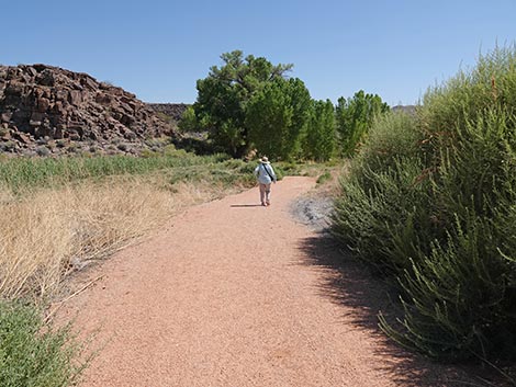 Black Canyon Trail
