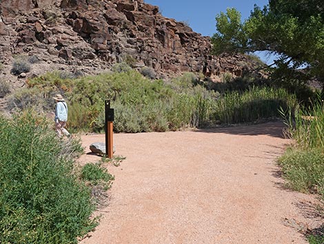 Black Canyon Trail