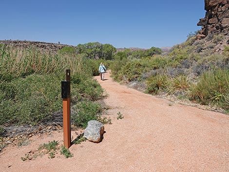 Black Canyon Trail