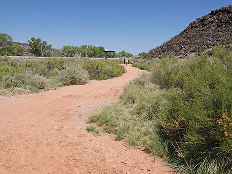 Black Canyon Trail