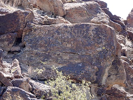 Black Canyon Trail