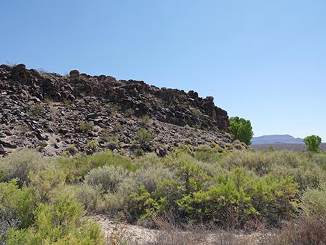 Black Canyon Trail